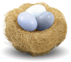 nature & nest free transparent png image.