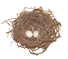 nature & nest free transparent png image.