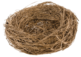 nature & nest free transparent png image.