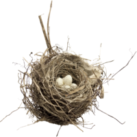 nature & nest free transparent png image.