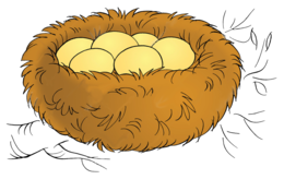 nature & Nest free transparent png image.