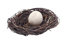 nature & nest free transparent png image.