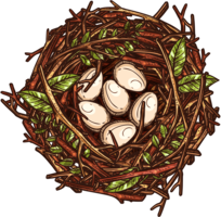 nature & Nest free transparent png image.