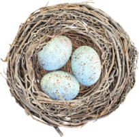 nature & nest free transparent png image.