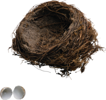 nature & nest free transparent png image.