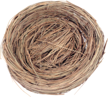 nature & Nest free transparent png image.