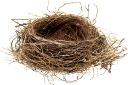 nature & nest free transparent png image.