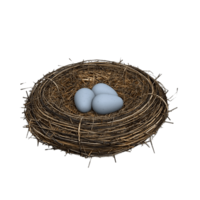 nature & nest free transparent png image.