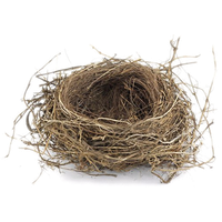 nature & nest free transparent png image.