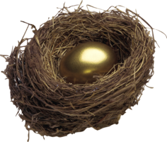 nature & Nest free transparent png image.