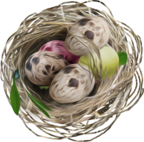 nature & nest free transparent png image.