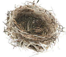 nature & nest free transparent png image.