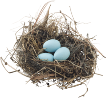 nature & nest free transparent png image.