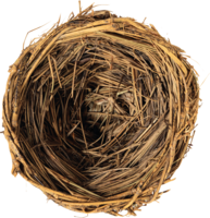 nature & Nest free transparent png image.