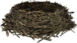 nature & nest free transparent png image.