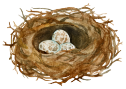 nature & nest free transparent png image.