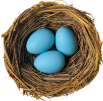 nature & nest free transparent png image.