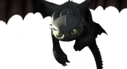 heroes & Night Fury free transparent png image.