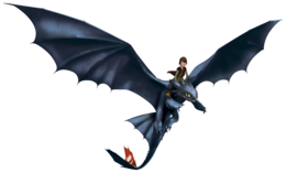 heroes & Night Fury free transparent png image.