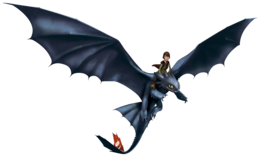 heroes & night fury free transparent png image.