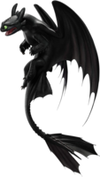 heroes & night fury free transparent png image.