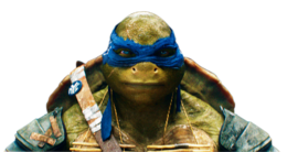 heroes & Ninja Turtles free transparent png image.