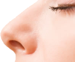people&Nose png image.