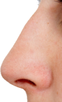 people & Nose free transparent png image.