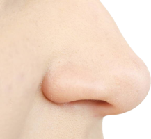 people & nose free transparent png image.