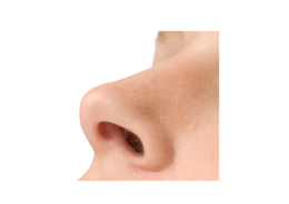 people & Nose free transparent png image.