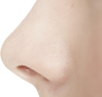 people & nose free transparent png image.