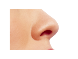 people & Nose free transparent png image.