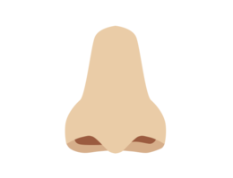 people & nose free transparent png image.