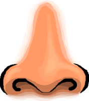 people & nose free transparent png image.