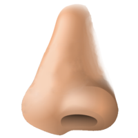 people & Nose free transparent png image.