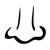 people & Nose free transparent png image.