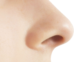 people & Nose free transparent png image.