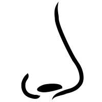 people & Nose free transparent png image.