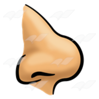 people & nose free transparent png image.