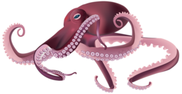 animals & Octopus free transparent png image.