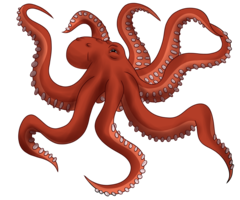 animals & Octopus free transparent png image.