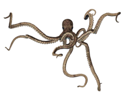 animals & Octopus free transparent png image.