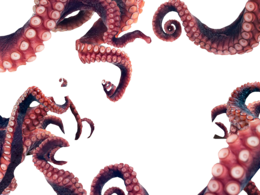animals & Octopus free transparent png image.
