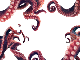 animals & octopus free transparent png image.