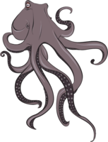 animals & Octopus free transparent png image.