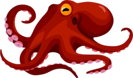 animals & octopus free transparent png image.