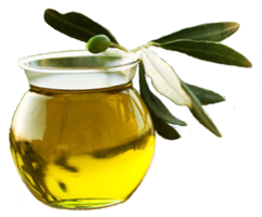 food & olive oil free transparent png image.