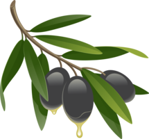 vegetables & olives free transparent png image.