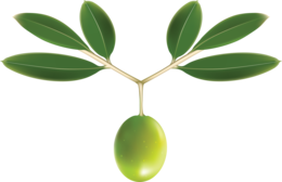 vegetables & olives free transparent png image.