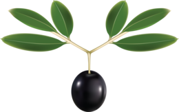 vegetables & Olives free transparent png image.